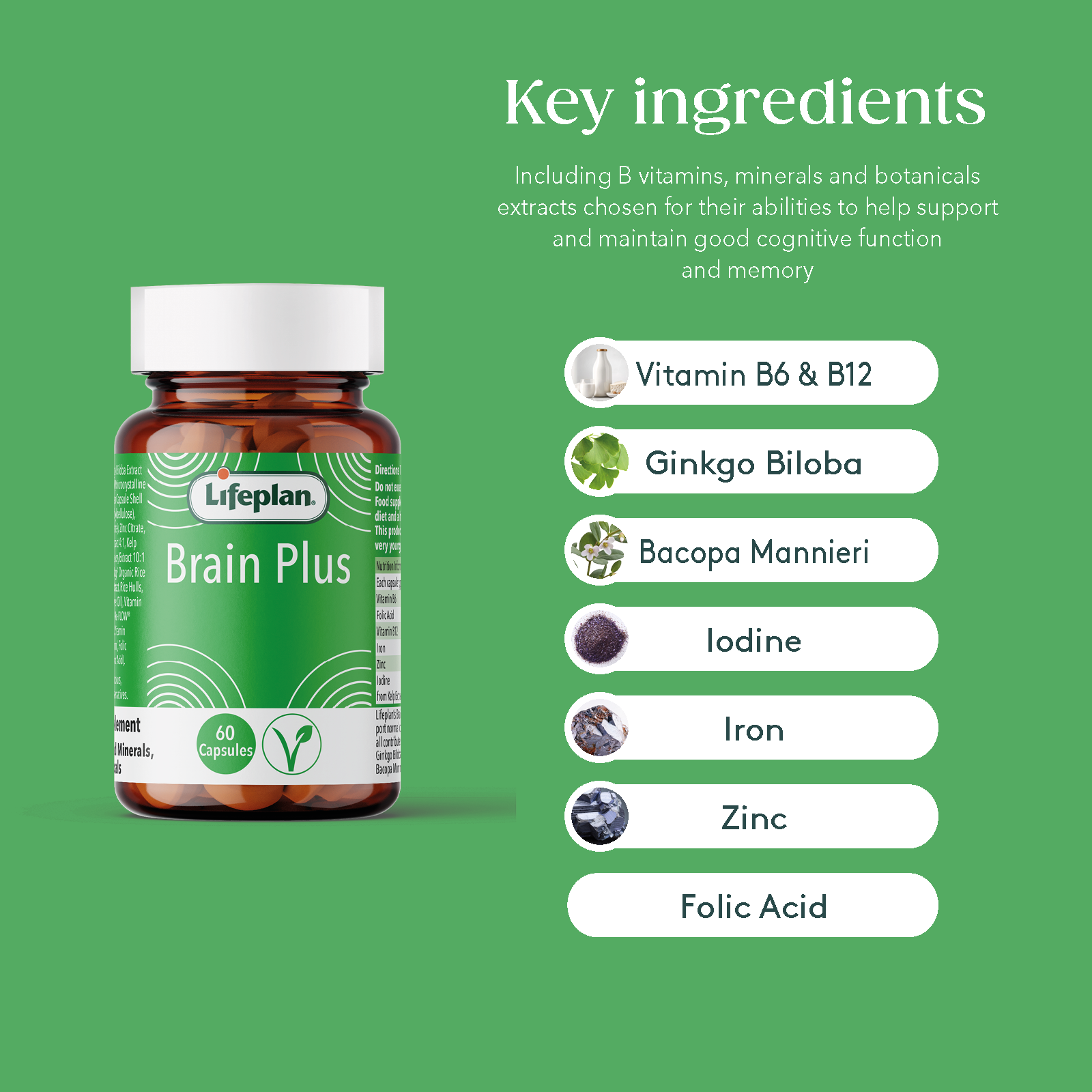 Brain Plus