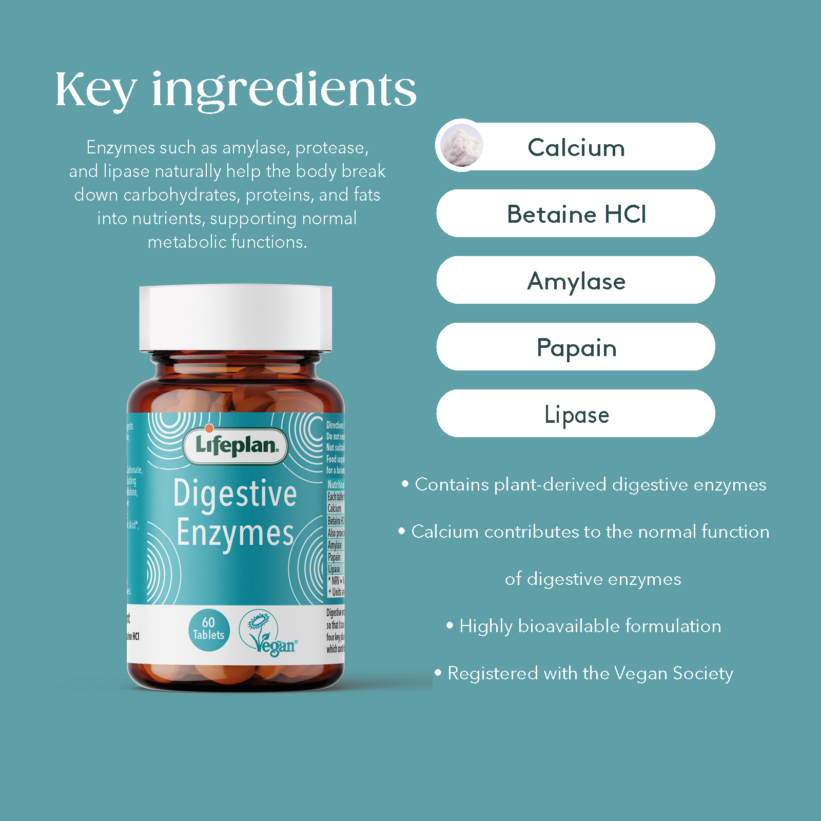 Digestive Enzymes