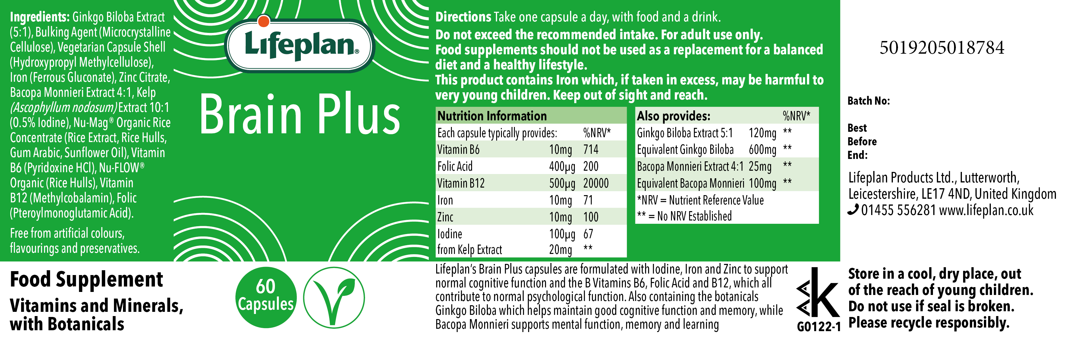 Brain Plus