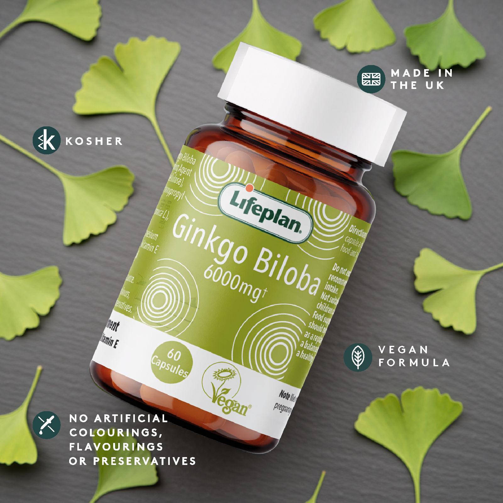 Ginkgo Biloba 6000mg