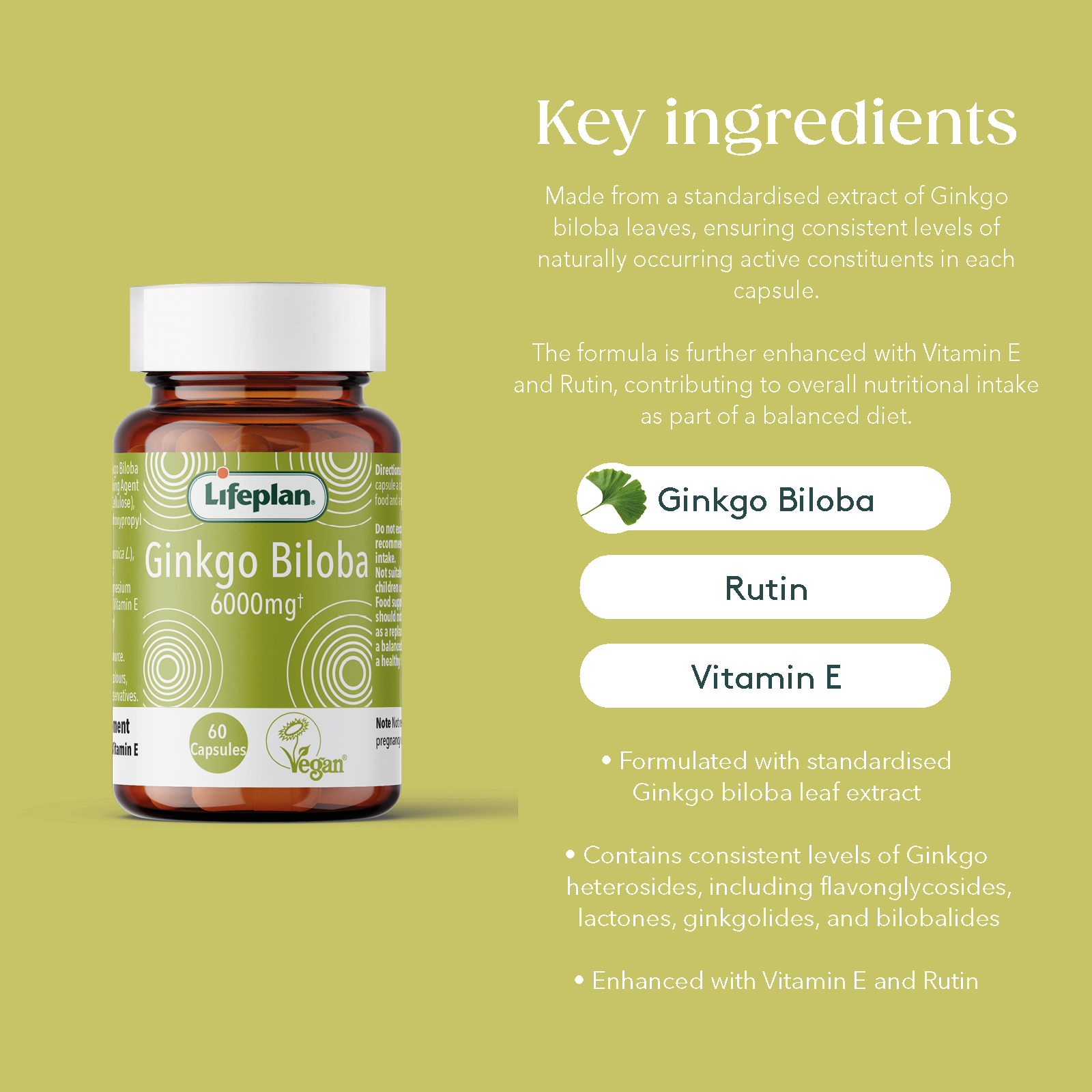 Ginkgo Biloba 6000mg