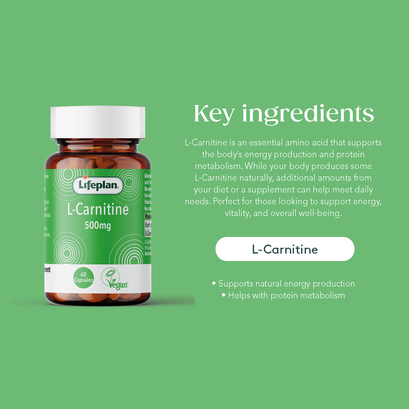 L-Carnitine 500mg