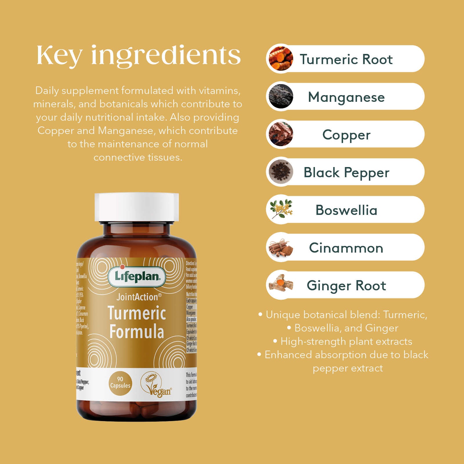 Joint Action® Turmeric Formula