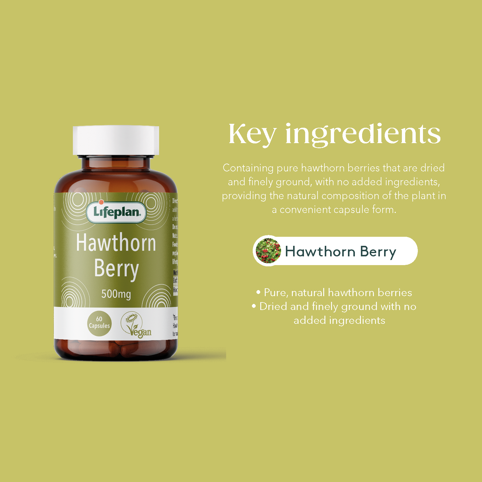 Hawthorn 450mg