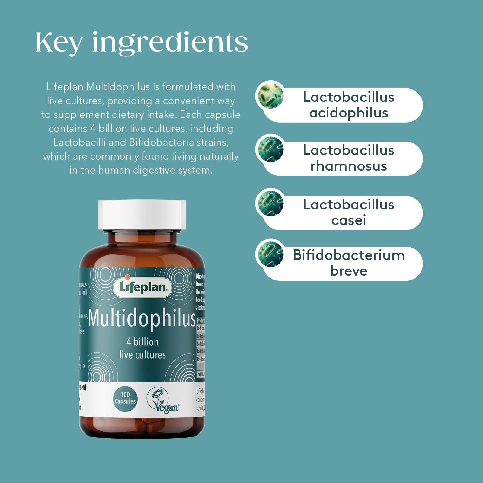 Multidophilus