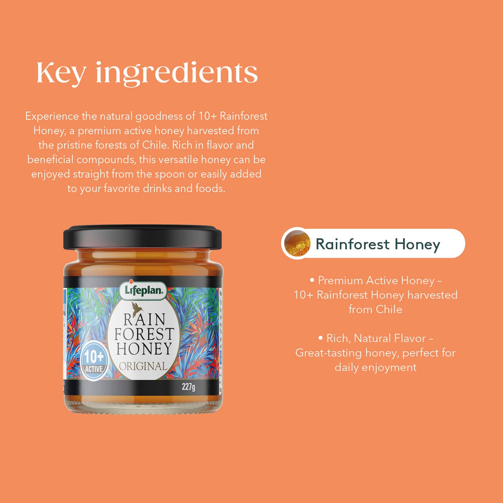 Rainforest Honey Active 10+