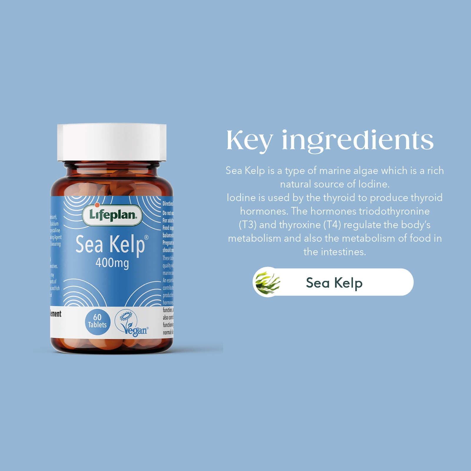 Sea Kelp 400mg