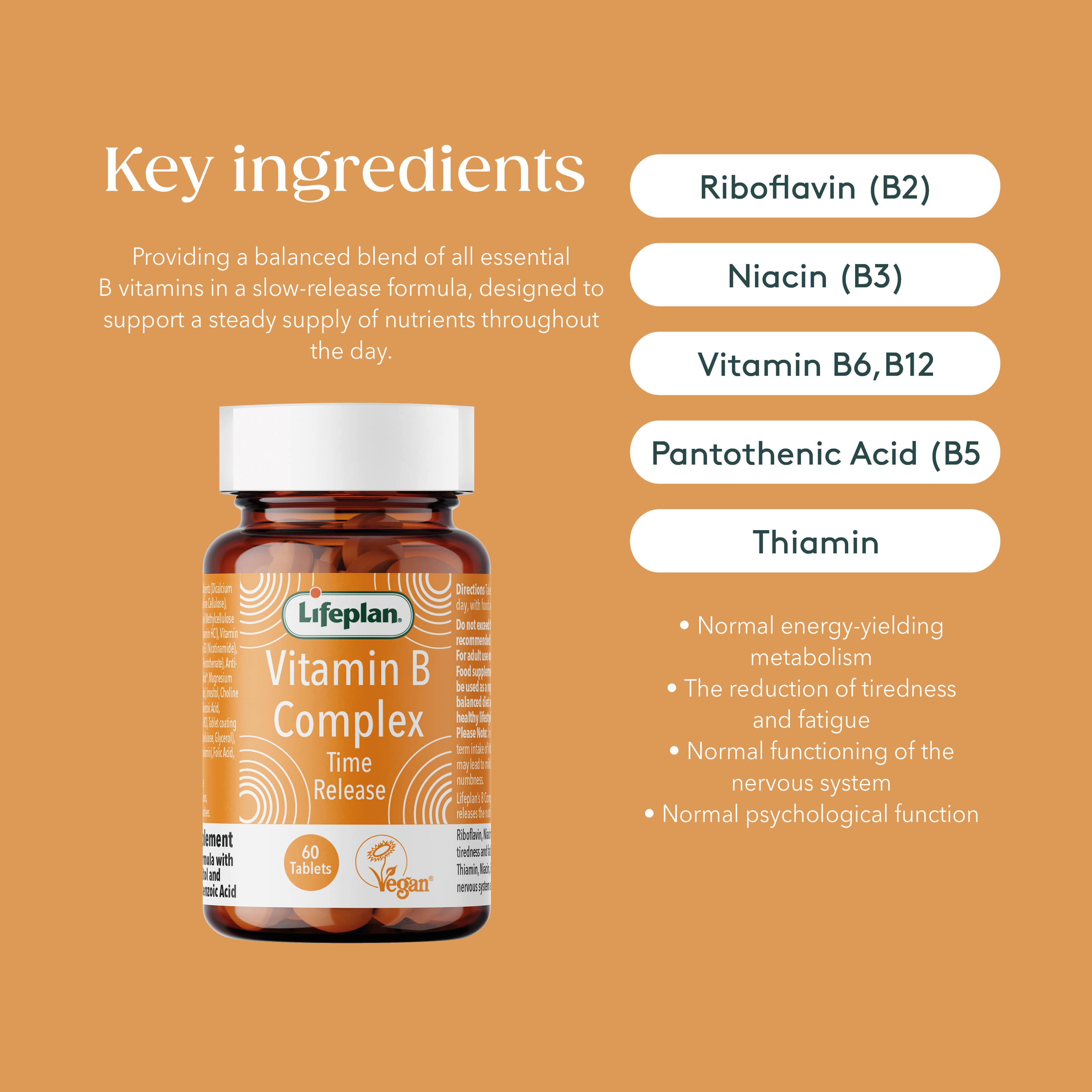 Vitamin B Complex Mega (Time Release)
